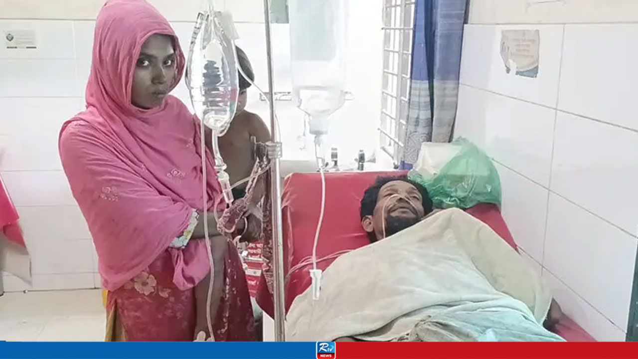 বিল থেকে ধরে বাড়িতে পুষছিলেন গোখরা, কামড় খেয়ে হাসপাতালে কাঠমিস্ত্রি