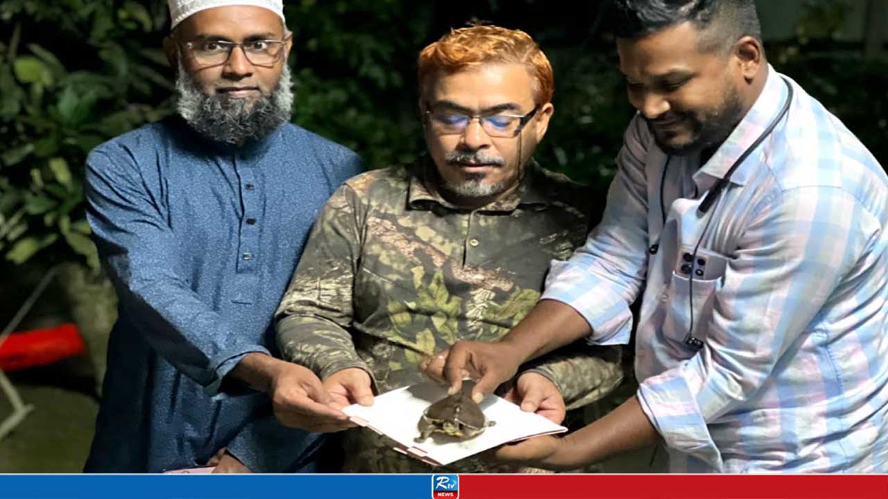 রাস্তায় মিলল দেশি কড়ি কাইট্টা, উদ্ধারের পর অবমুক্ত