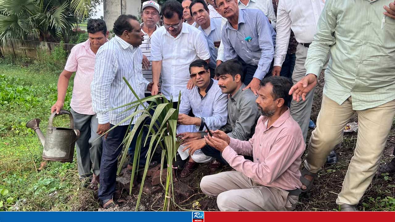 সাতক্ষীরা-খুলনা মহাসড়কের দুই পাশে আরটিভির উদ্যোগে বৃক্ষরোপণ