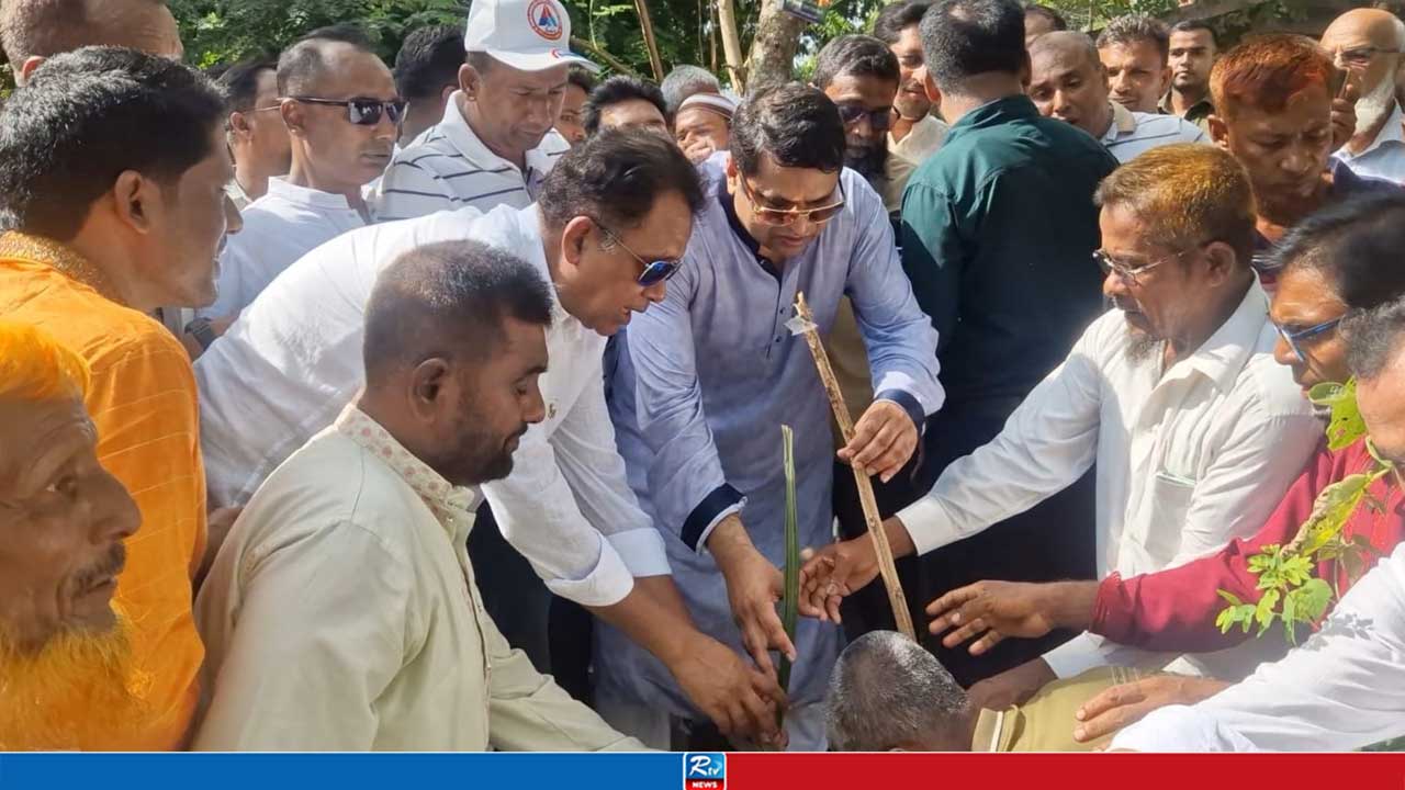 খুলনায় আরটিভির উদ্যোগে তালের চারা রোপণ