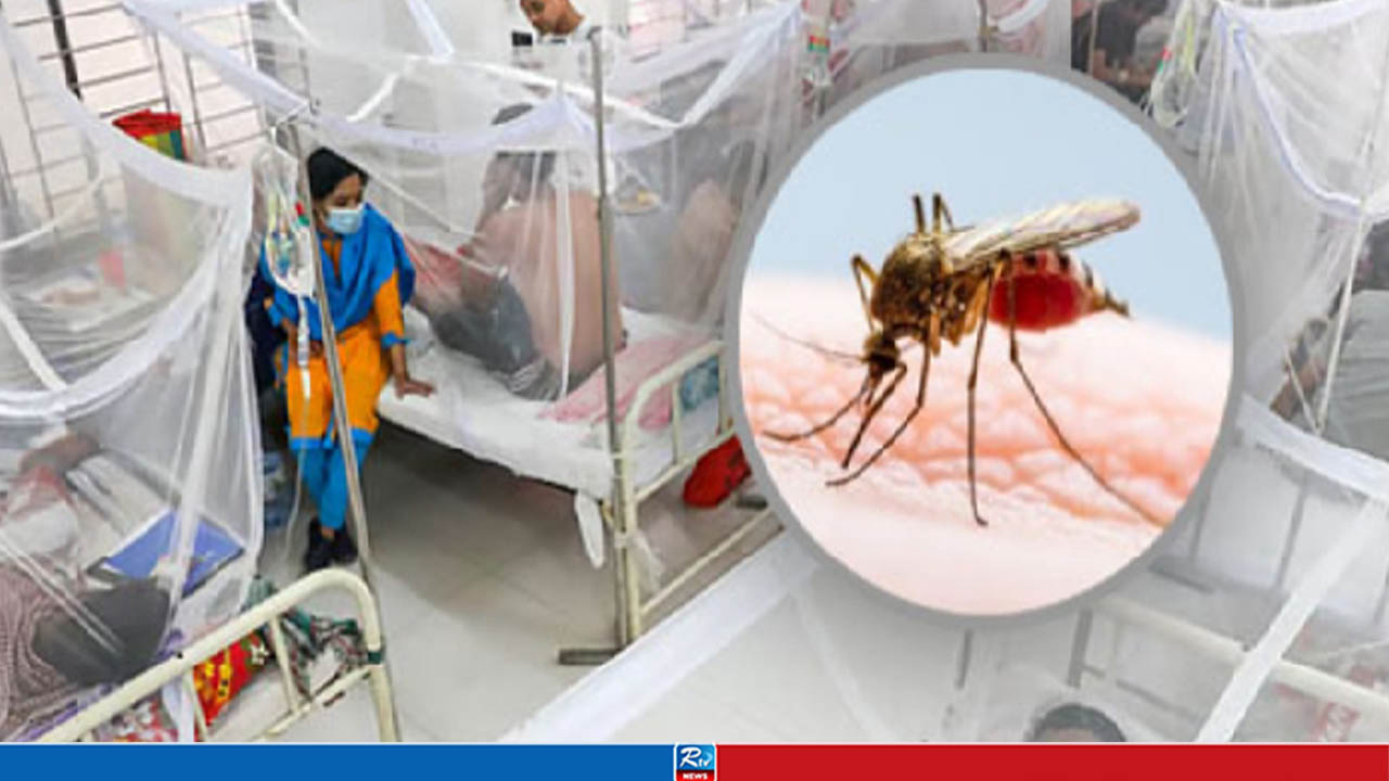 ডেঙ্গুতে আরও ৩ জনের মৃত্যু, হাসপাতালে নতুন ভর্তি ১২৬২