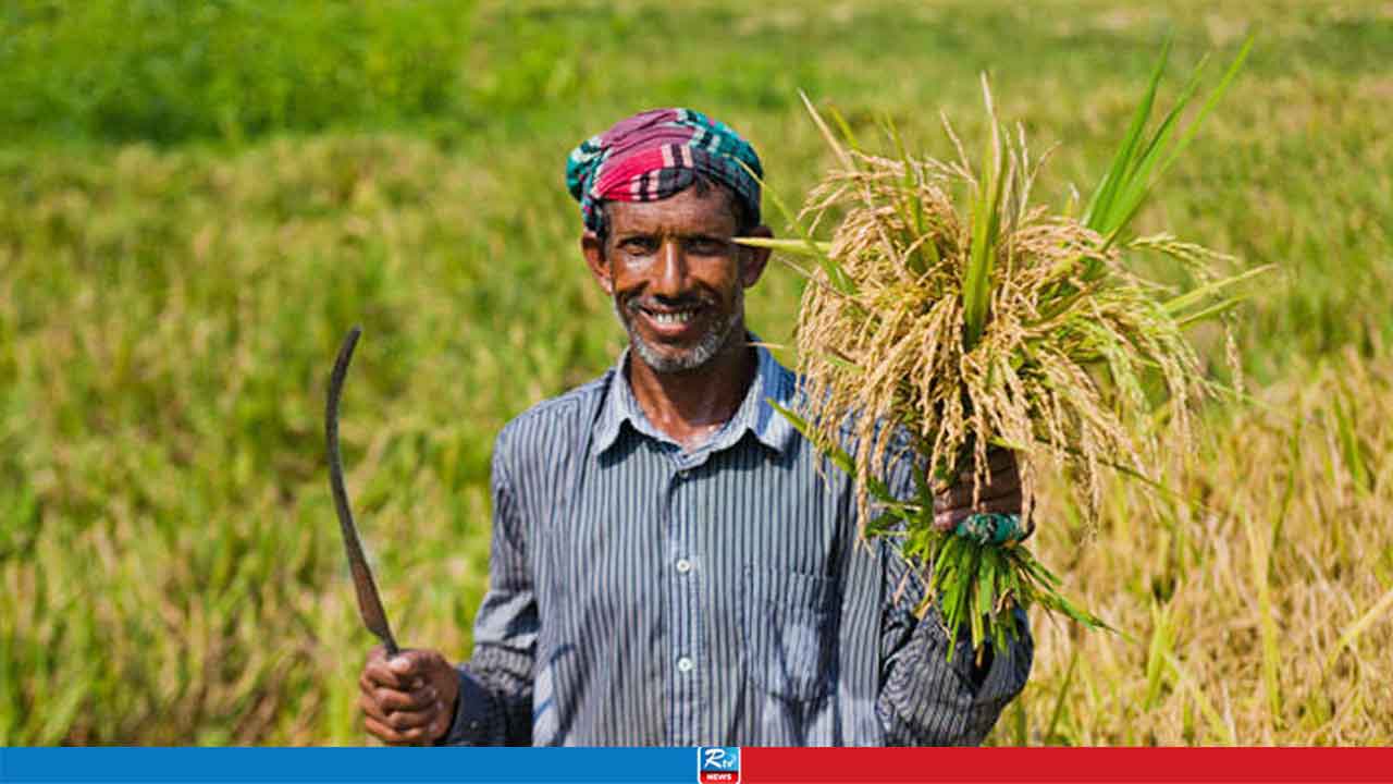 কৃষিঋণ মওকুফে স্বস্তিতে ১৪ লাখ কৃষক, চাঙা হচ্ছে গ্রামীণ অর্থনীতি