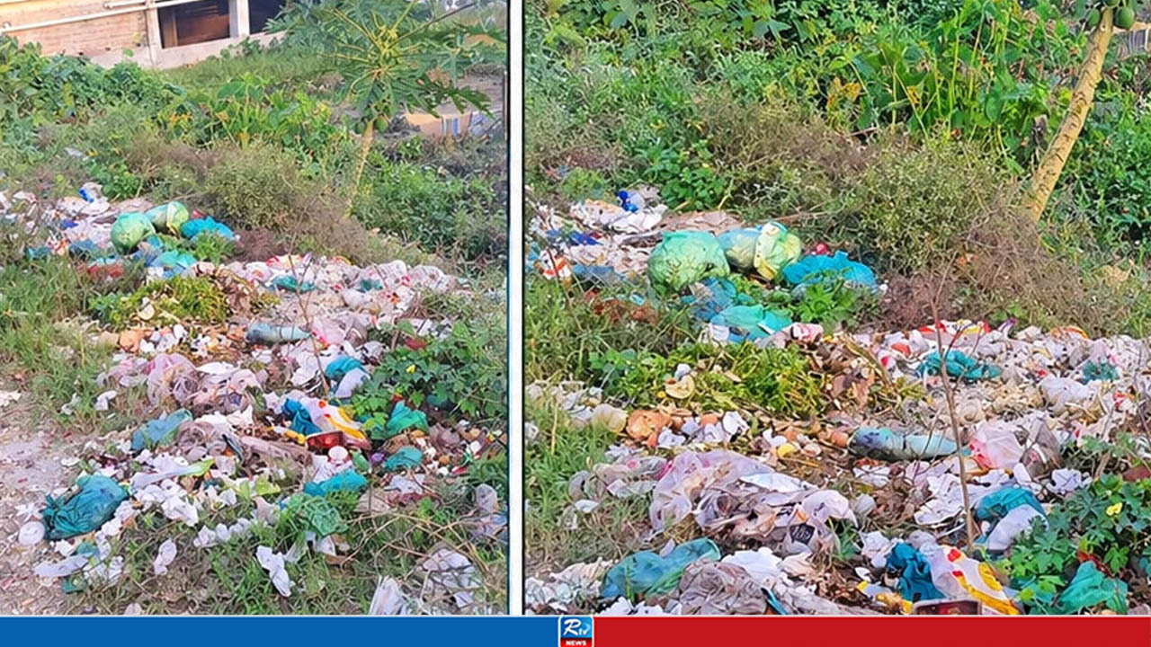 যবিপ্রবির সামনে ময়লার ভাগাড়, দুর্গন্ধে ভোগান্তিতে শিক্ষার্থী ও পথচারীরা