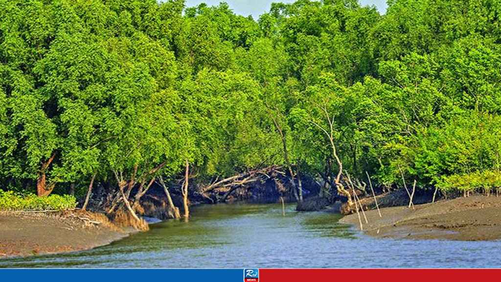 তিন মাস পর আজ খুলছে সুন্দরবন